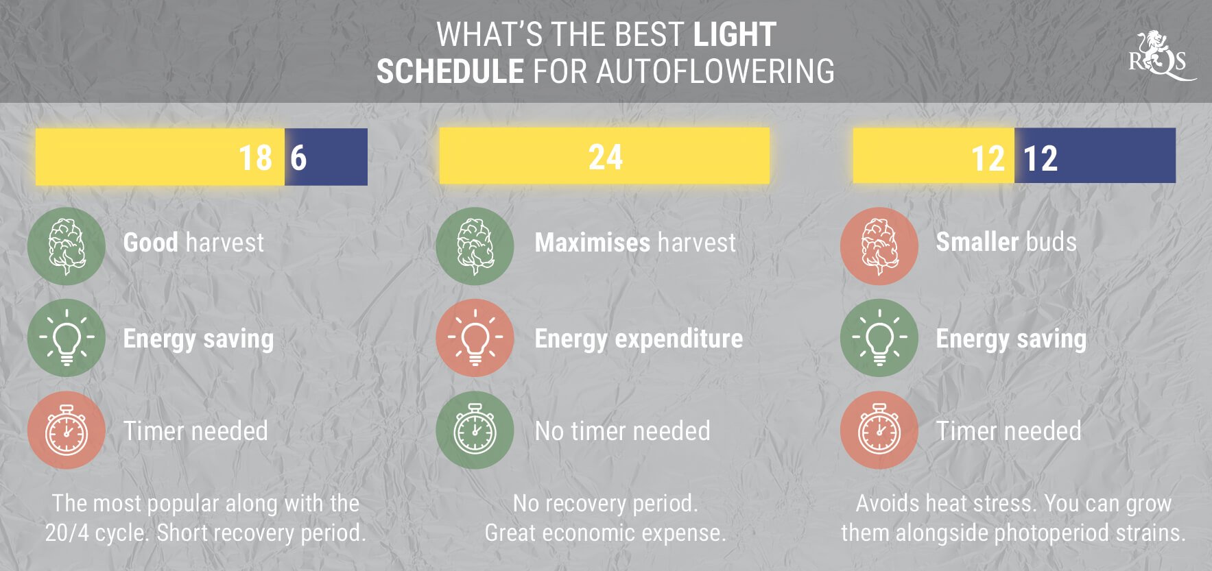 The Perfect Light Schedules For Autoflowering Seeds ECO Farm